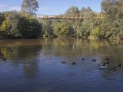 View of the Yarra from Fairfield boathouse