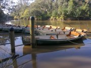 Rowboats at Fairfield Boathouse