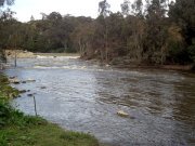 Yarra River from bike trail