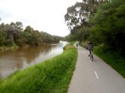 Main Yarra Bike Path near Richmond