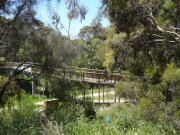 Merri Creek at Coburg