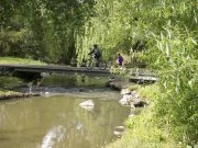 Biking along the Merri Creek, Melbourne