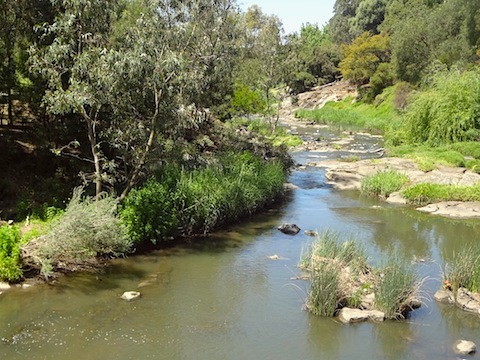 Merri Creek Path Melbourne