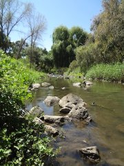 Merri Creek near Coburg