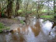 Yarra Trail creek