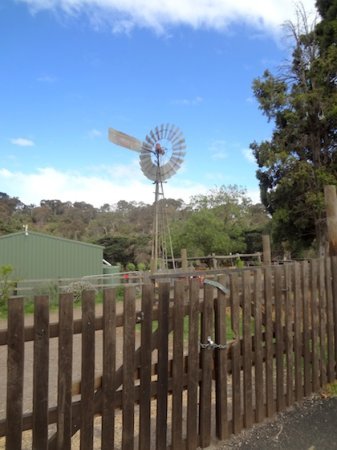 Collingwood Childrens Farm