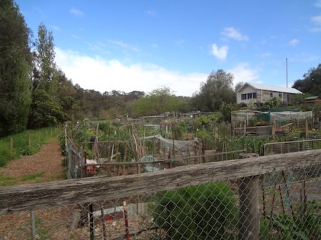 Community Gardens along the Main Yarra Trail