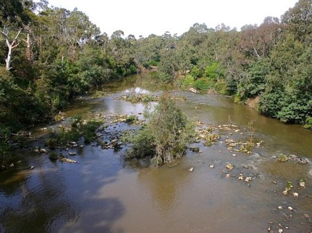 The Yarra River from the bike path
