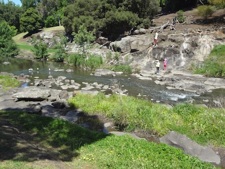 Merri Creek near Coburg