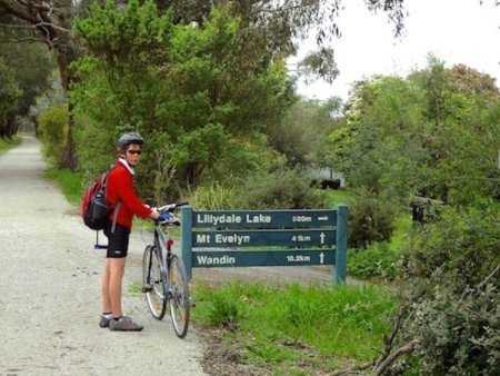 Lilydale Warburton Bike Path