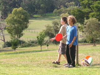 Hedgeend Maze Healesville