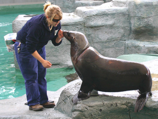 Royal Melbourne Zoo