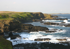 Phillip Island not far from Little Penguin Parade