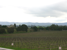 Yarra valley tour