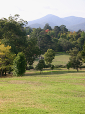 Yarra Valley wines