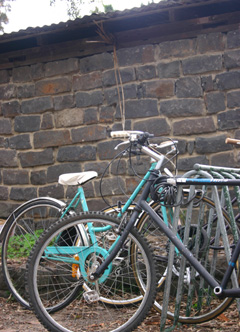 bike stands at Ceres, Melbourne