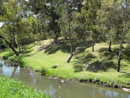 Merri Creek near Coburg
