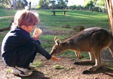 Mole Creek Wildlife Park Tasmania