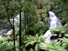 Otways Waterfall