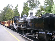 Puffing Billy Steam Train