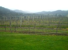 Yarra Valley winery